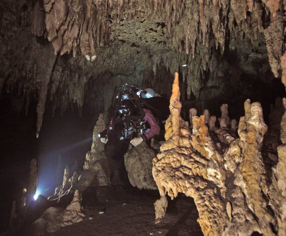 Mergulhando em cenotes na região de Tulum, no Yucatán, sul do México (foto divulgação, de Luis Leal)